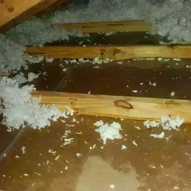 Attic Water Damage in Franklin, TX