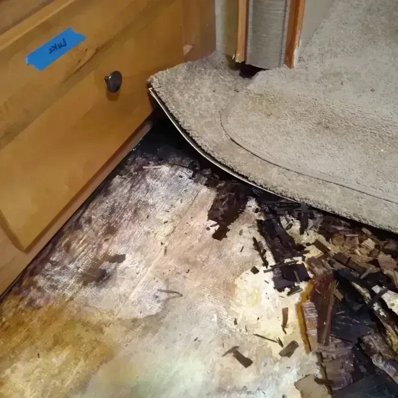 Wood Floor Water Damage in Franklin, TX